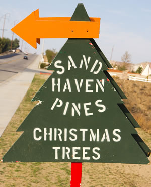 Sand Haven Pines Parking